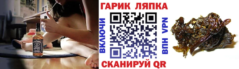 ГАШ Premium  Орехово-Зуево 