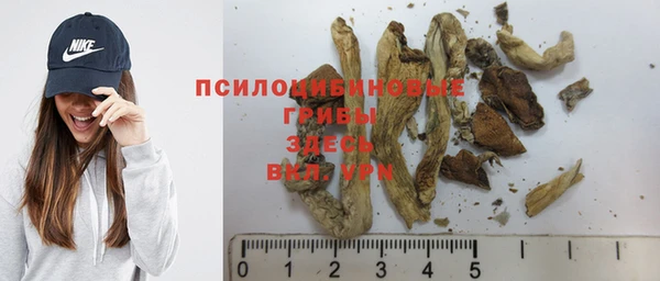 прущие грибы Карталы