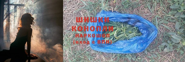 прущие грибы Карталы