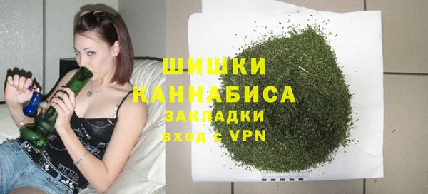 прущие грибы Карталы