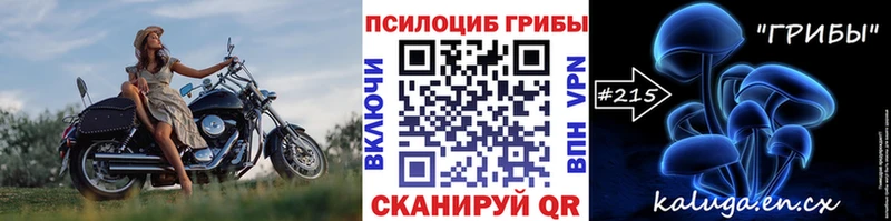 гидра как зайти  Орехово-Зуево  Галлюциногенные грибы MAGIC MUSHROOMS 